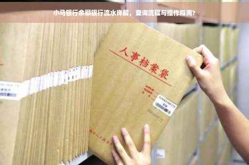 小马银行余额银行流水详解，查询流程与操作指南?