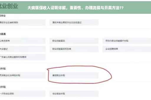 大病医保收入证明详解，重要性、办理流程与开具方法??