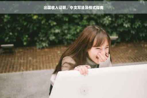 出国收入证明，中文写法及格式指南