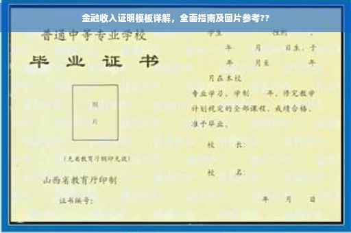 金融收入证明模板详解，全面指南及图片参考??