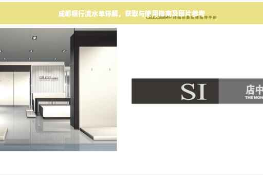 成都银行流水单详解，获取与使用指南及图片参考