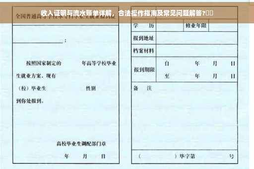 收入证明与流水账单详解，合法操作指南及常见问题解答?⚡️