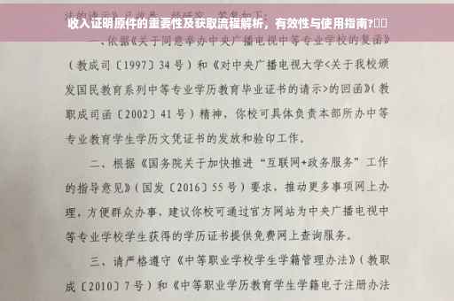 收入证明原件的重要性及获取流程解析，有效性与使用指南?⚡️