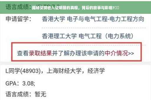 揭秘买房收入证明图的真相，背后的故事与影响?⚡️
