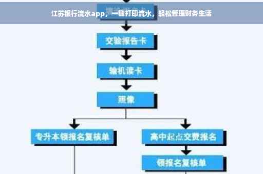 江苏银行流水app，一键打印流水，轻松管理财务生活