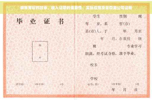 转账背后的故事，收入证明的重要性、实际应用及是否需公司证明