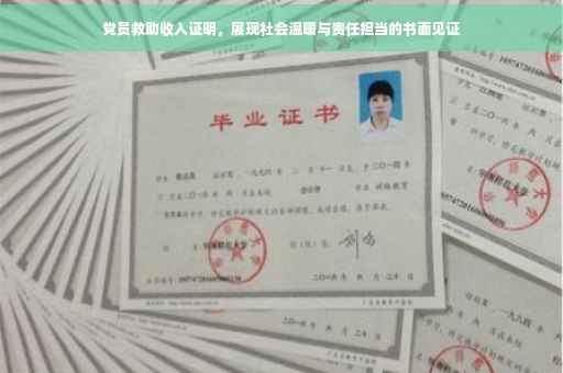 党员救助收入证明，展现社会温暖与责任担当的书面见证