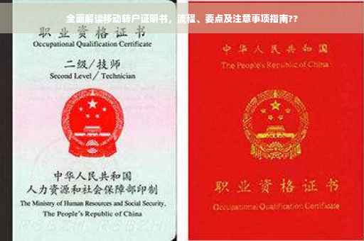 全面解读移动转户证明书，流程、要点及注意事项指南??