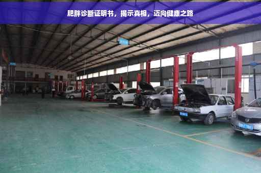 肥胖诊断证明书，揭示真相，迈向健康之路