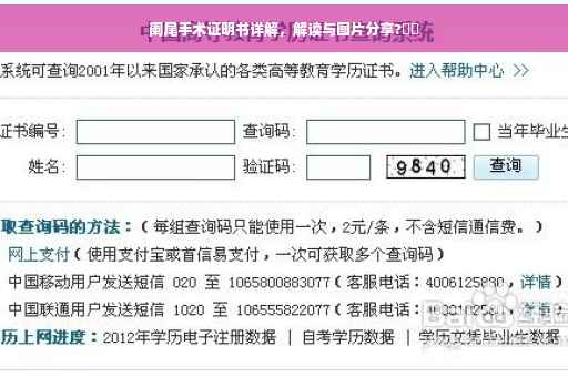 阑尾手术证明书详解，解读与图片分享?⚡️