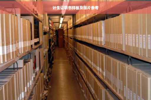 计生证明书样板及图片参考