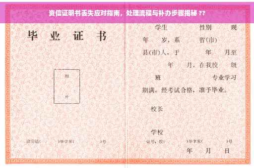 资信证明书丢失应对指南，处理流程与补办步骤揭秘 ??