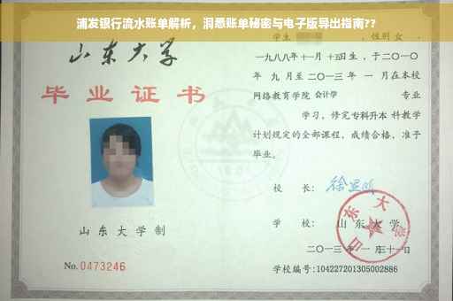 浦发银行流水账单解析，洞悉账单秘密与电子版导出指南??