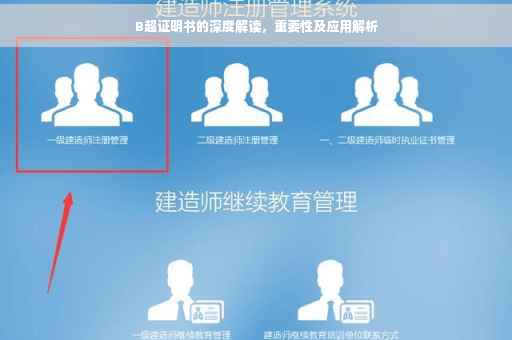 B超证明书的深度解读，重要性及应用解析