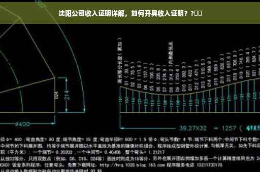 沈阳公司收入证明详解，如何开具收入证明？?⚡️