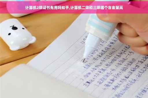 计算机2级证书有用吗知乎,计算机二级和三级哪个含金量高