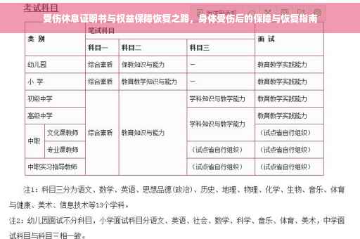 受伤休息证明书与权益保障恢复之路，身体受伤后的保障与恢复指南