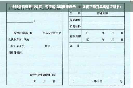协和病情证明书详解，深度解读与健康启示——如何正确开具病情证明书?