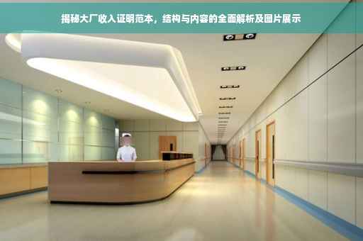 揭秘大厂收入证明范本，结构与内容的全面解析及图片展示