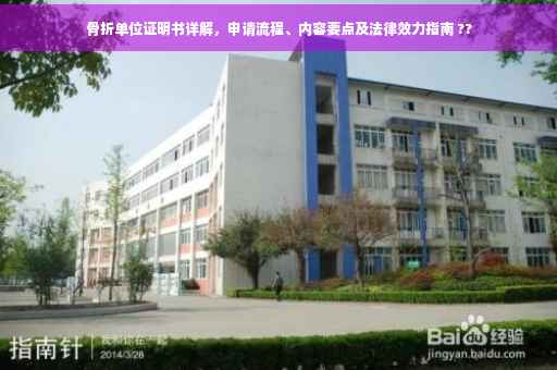 骨折单位证明书详解，申请流程、内容要点及法律效力指南 ??