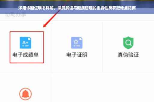 沭阳诊断证明书详解，深度解读与健康管理的重要性及获取地点指南
