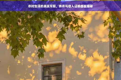 农村生活的真实写照，务农与收入证明模板揭秘