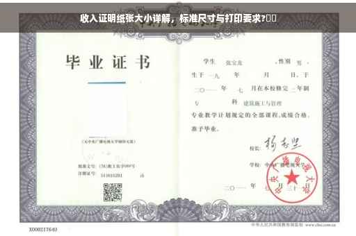 收入证明纸张大小详解，标准尺寸与打印要求?⚡️
