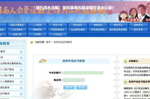 银行流水详解，如何查看与解读银行流水记录？