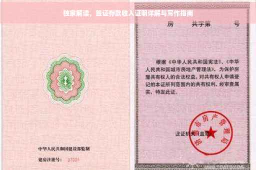 独家解读，签证存款收入证明详解与写作指南