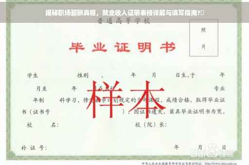 揭秘职场薪酬真相，就业收入证明表格详解与填写指南?✨