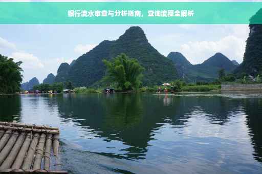 银行流水审查与分析指南，查询流程全解析