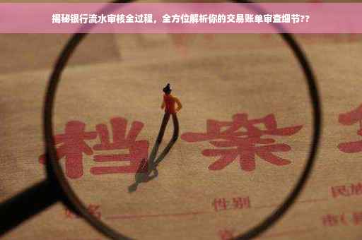 揭秘银行流水审核全过程，全方位解析你的交易账单审查细节??