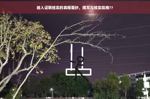 收入证明核实的真相面纱，撰写与核实指南??