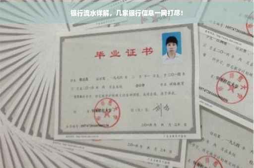 银行流水详解，几家银行信息一网打尽！