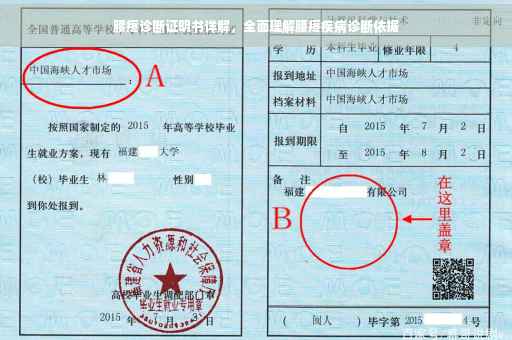 腰疼诊断证明书详解，全面理解腰疼疾病诊断依据