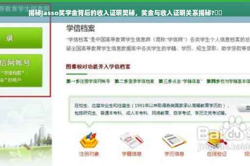揭秘Jasso奖学金背后的收入证明奥秘，奖金与收入证明关系揭秘?⚡️