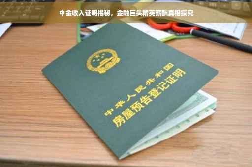 中金收入证明揭秘，金融巨头精英薪酬真相探究