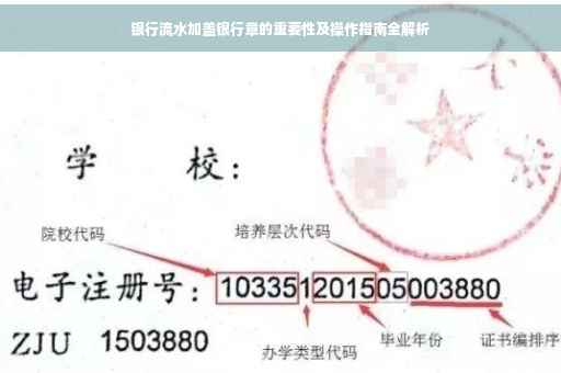 银行流水加盖银行章的重要性及操作指南全解析