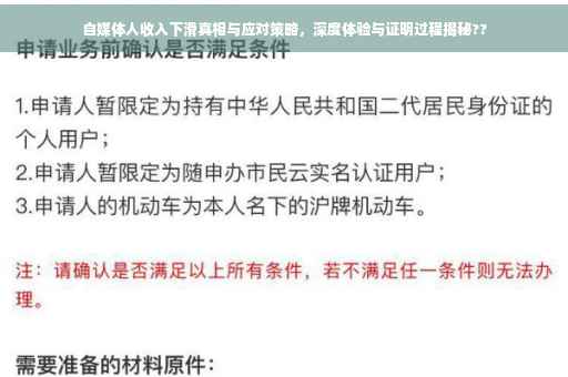 自媒体人收入下滑真相与应对策略，深度体验与证明过程揭秘??
