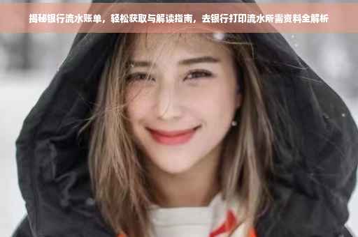 揭秘银行流水账单，轻松获取与解读指南，去银行打印流水所需资料全解析