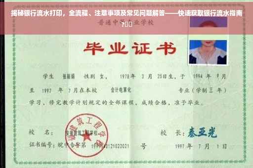 揭秘银行流水打印，全流程、注意事项及常见问题解答——快速获取银行流水指南?⚡️