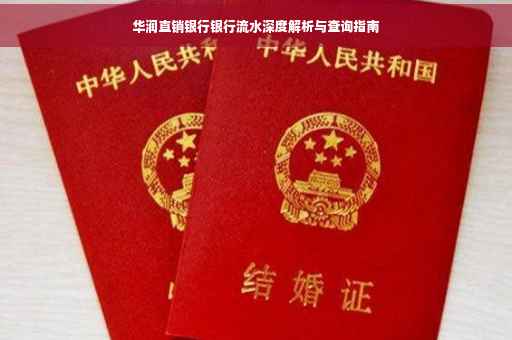 华润直销银行银行流水深度解析与查询指南