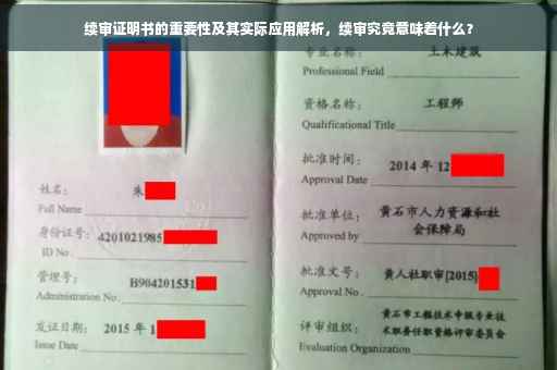 续审证明书的重要性及其实际应用解析，续审究竟意味着什么？