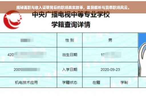 揭秘离职与收入证明背后的职场真实故事，差异解析与洞悉职场风云。