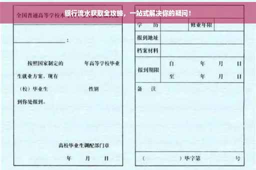 银行流水获取全攻略，一站式解决你的疑问！