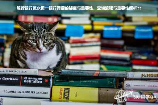 解读银行流水同一银行背后的秘密与重要性，查询流程与重要性解析??