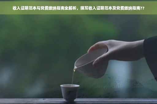 收入证明范本与党费缴纳指南全解析，撰写收入证明范本及党费缴纳指南??