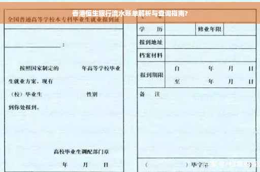 香港恒生银行流水账单解析与查询指南?