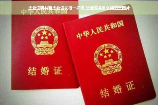 毕业证明书和毕业证长得一样吗,毕业证书怎么摆造型图片