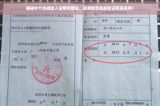 揭秘中介伪造收入证明犯罪链，退房能否因虚假证明而实现？